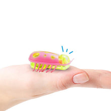 Load image into Gallery viewer, Pet Toy Insect